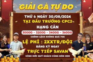 Giải Gà Tự Do Tại CPC2 Thomo Ngày 30/08/2024