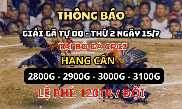 TH-NG-B-O-2-