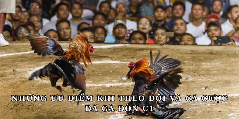 Những ưu điểm khi theo dõi và cá cược đá gà đòn C1