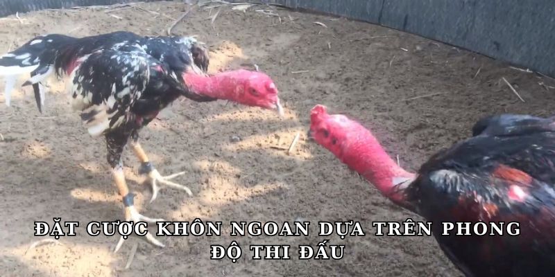 Đặt cược khôn ngoan dựa trên phong độ thi đấu