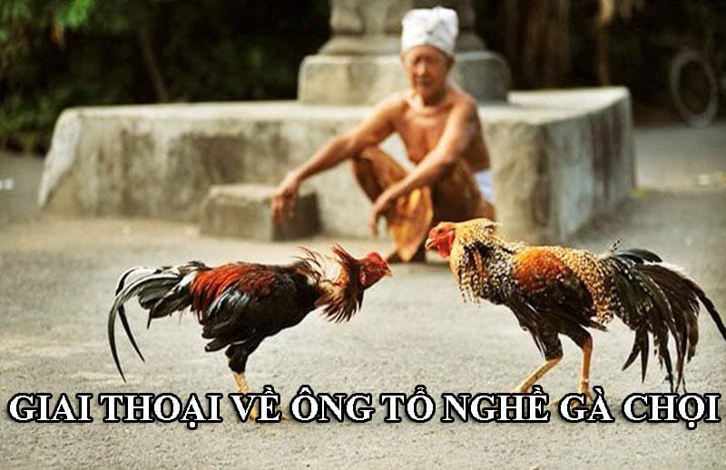 Ông tổ nghề nuôi gà chọi có nhiều giai thoại hay