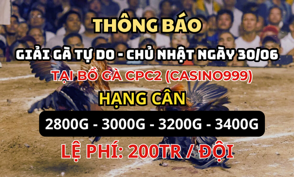 new-new-TH-NG-B-O-1-