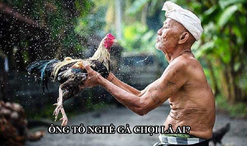 Ông tổ của nghề gà chọi xuất hiện từ đời vua Gia Long