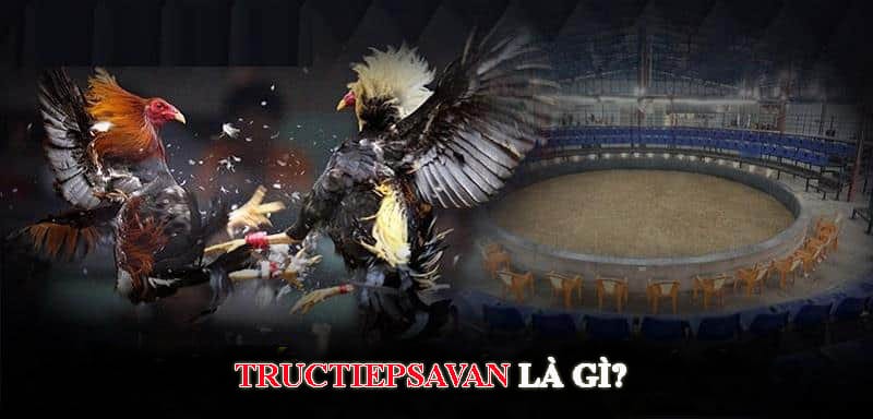 new tructiepsavan uu diem la gi