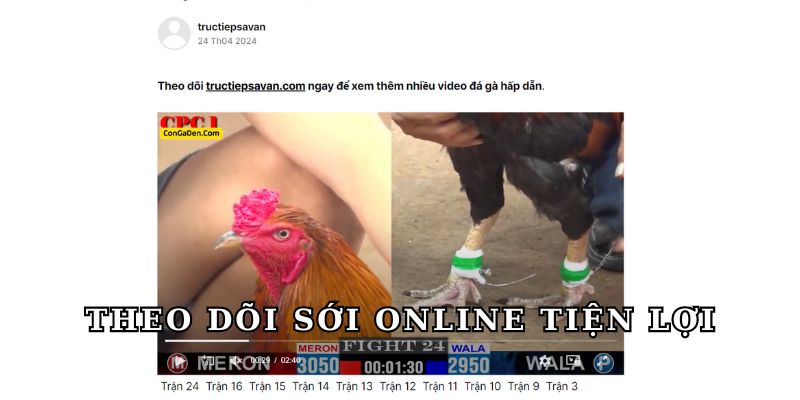 Theo dõi sới online tiện lợi