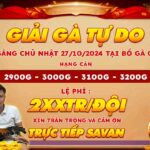 Giải Gà Tự Do Tại CPC2 Ngày 27102024